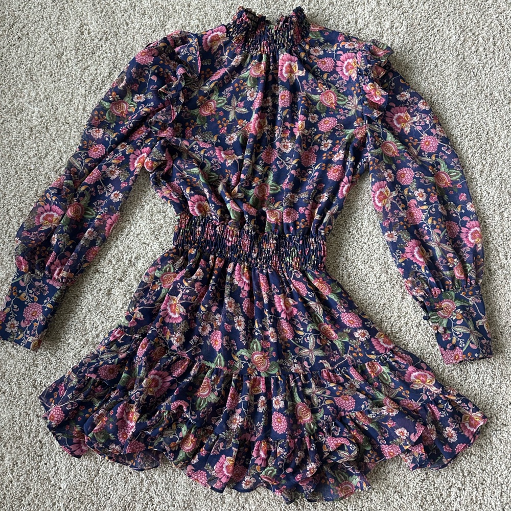 Misa Los Angeles Blue and Pink Mini Dress with Floral Elegance